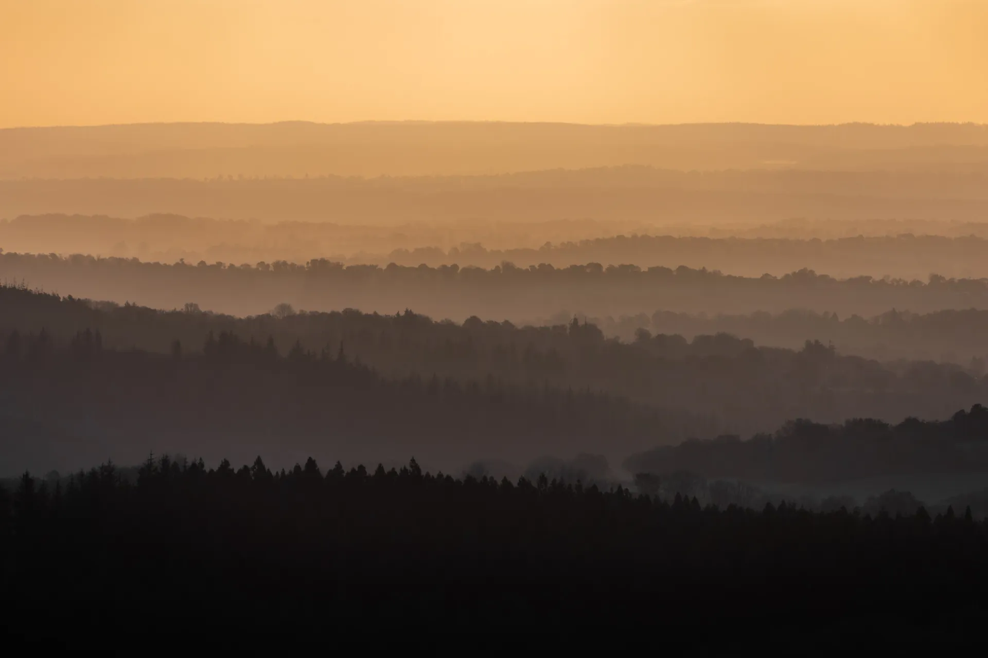 Tirage d'art paysage, brume dorée photographiée par Théo Cohen