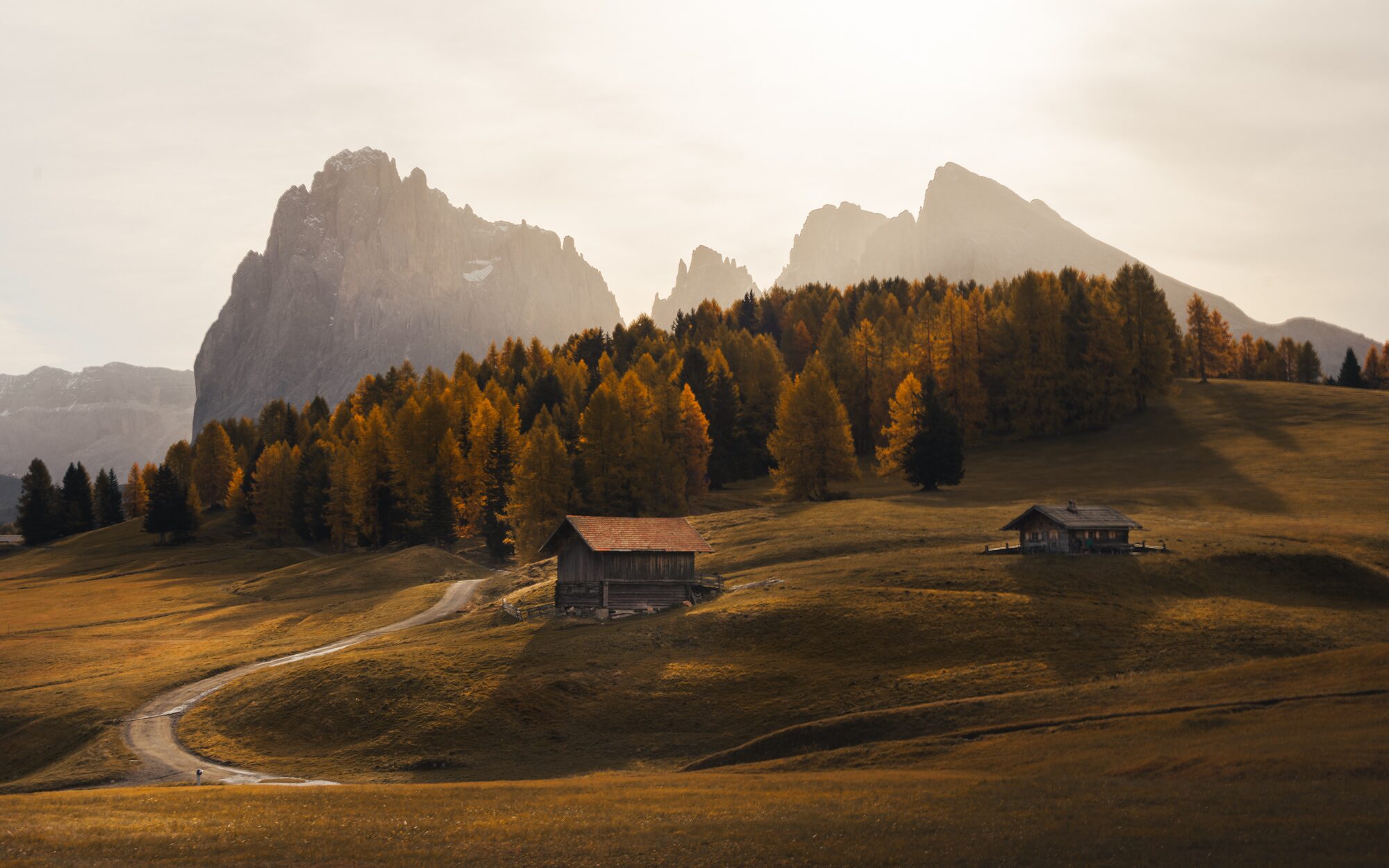 Chalets et mélèzes dorés à l'Alpe di Siusi dans les Dolomites