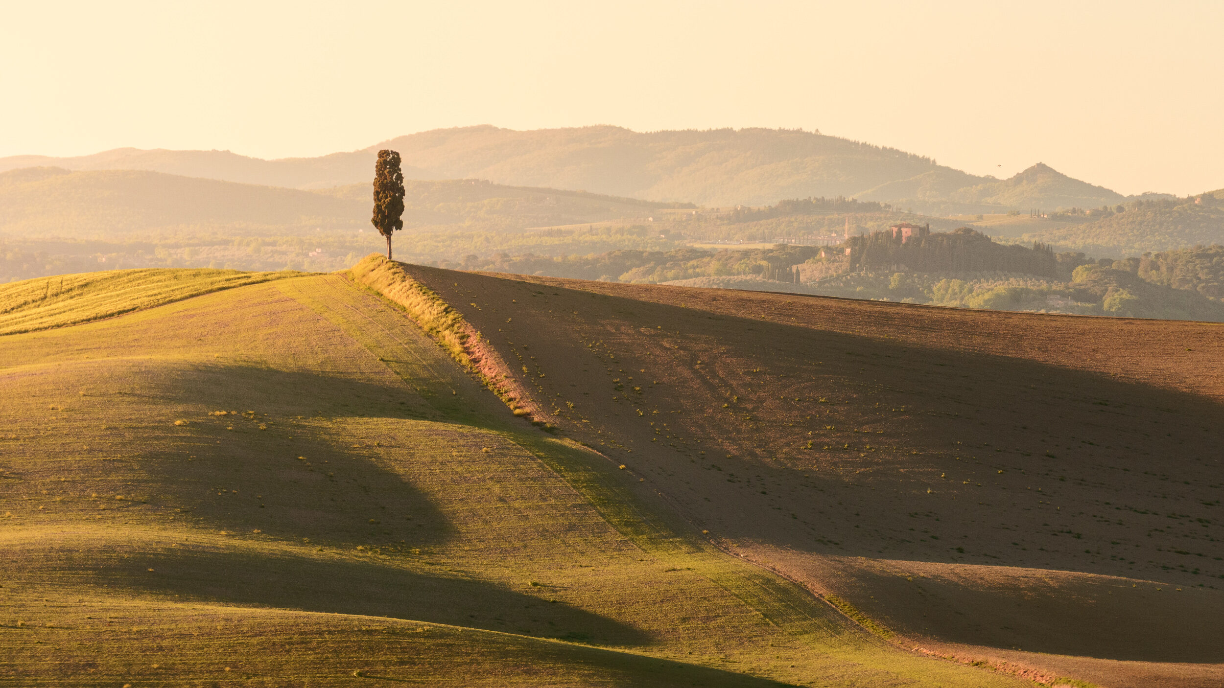 Cyprès solitaire sur une crête toscane au coucher du soleil