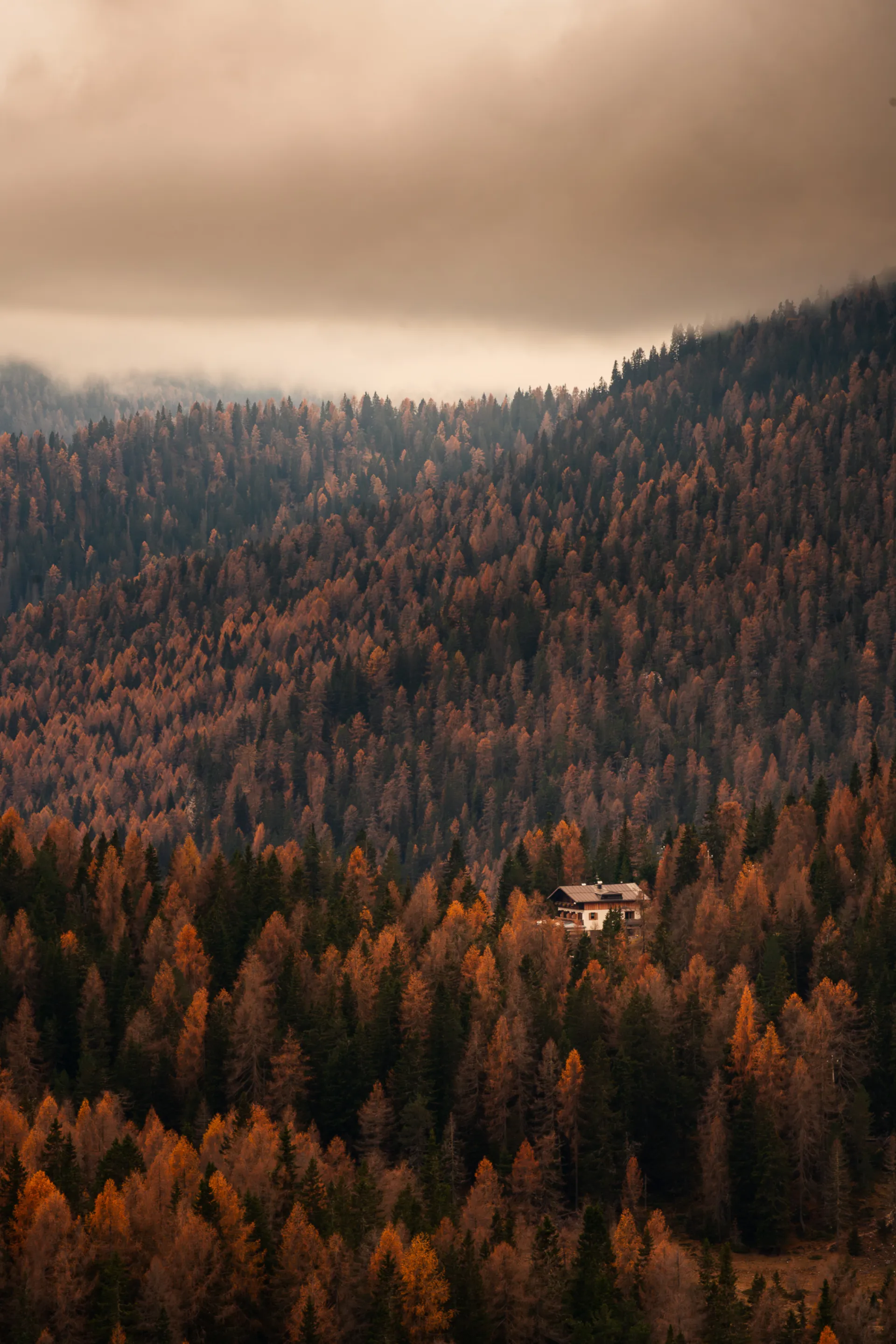Maison isolée dans la forêt d'automne
