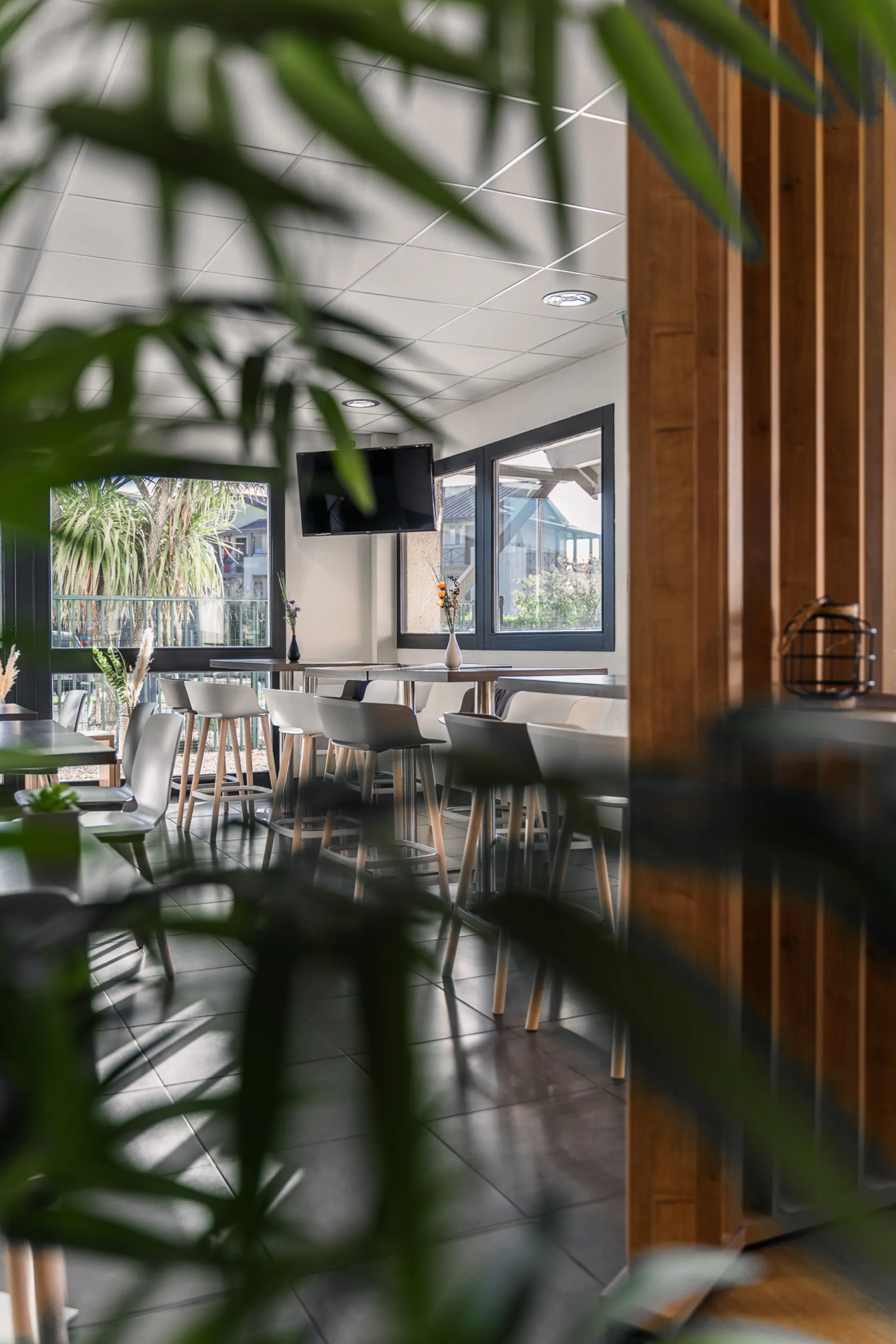 Restaurant dining room, green ambience and natural light