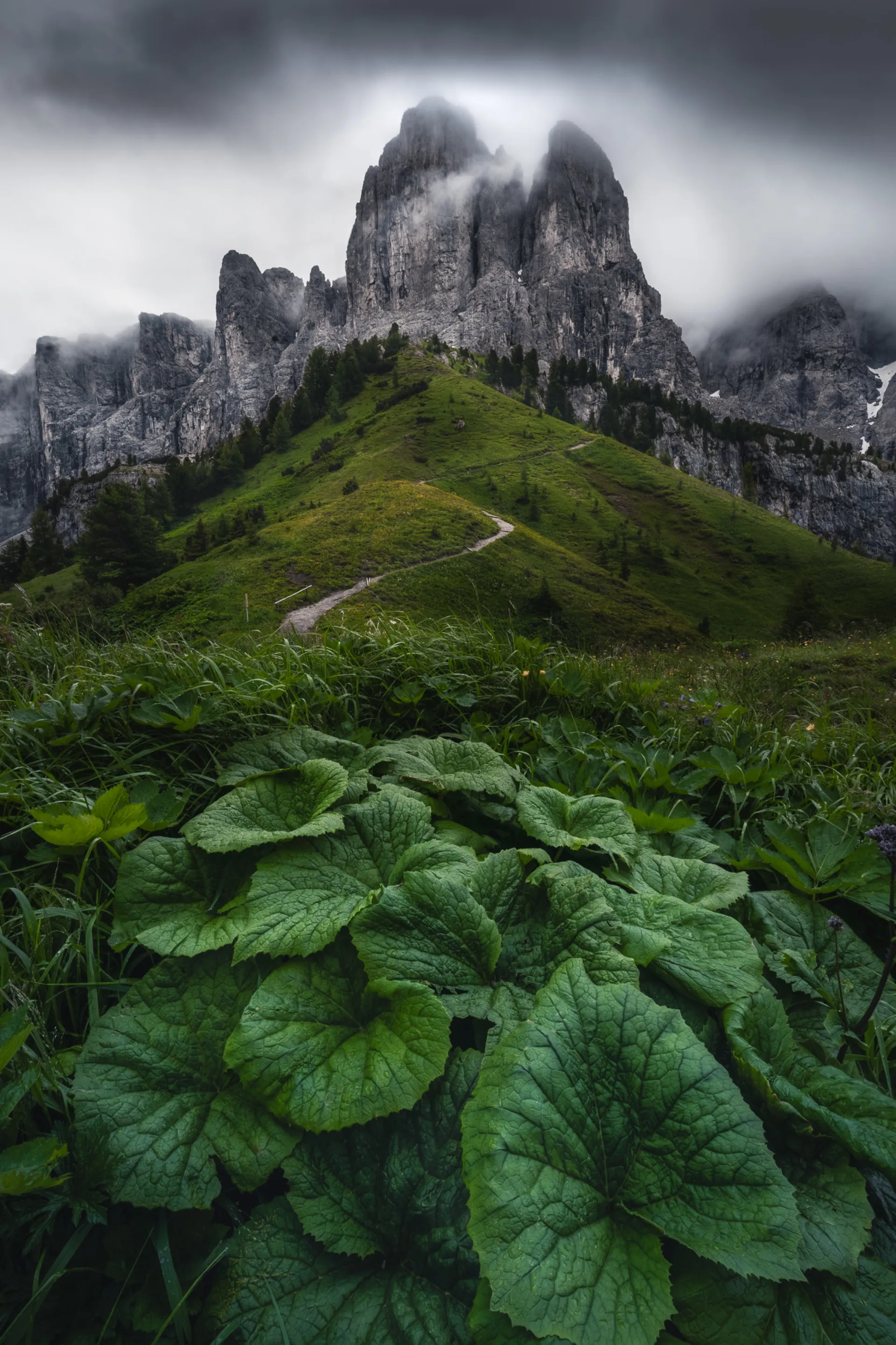 Sentier de montagne dans la brume, paysage immersif